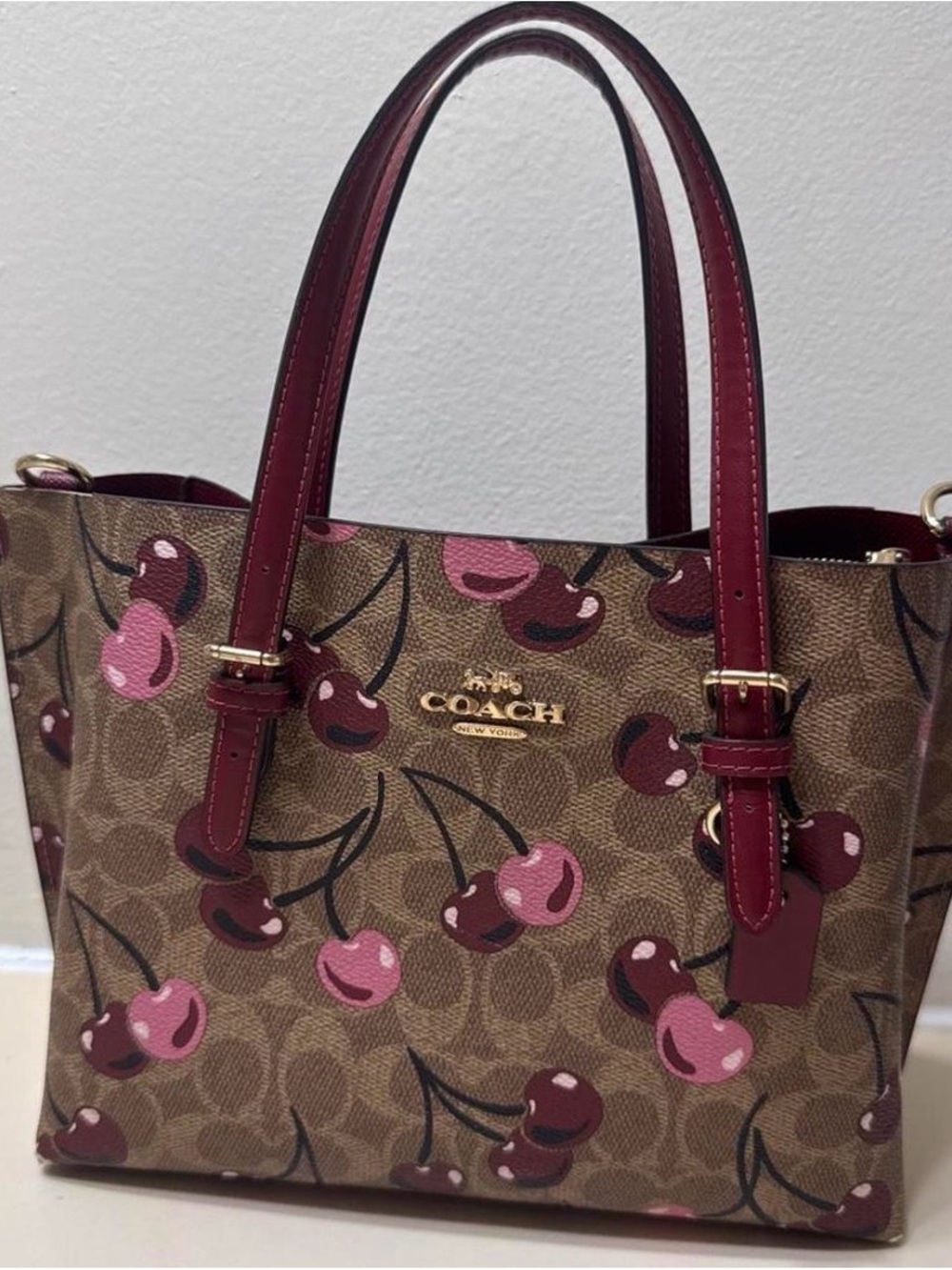 Coach Cherry-Print Signature Tote in Brown and Pink/Burgundy